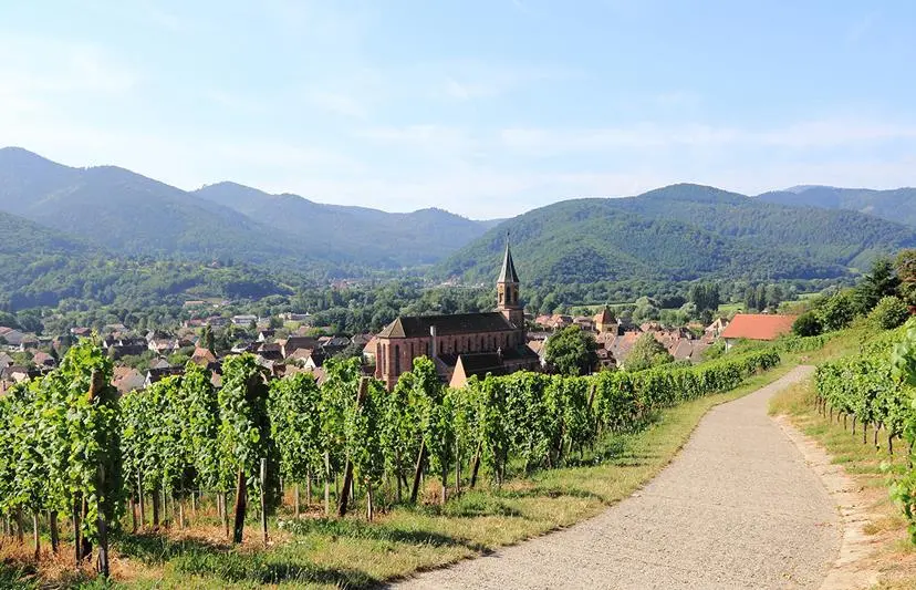 route des vins